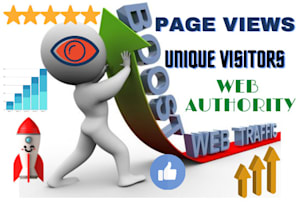 I will drive real and organic traffic to your website/blog 