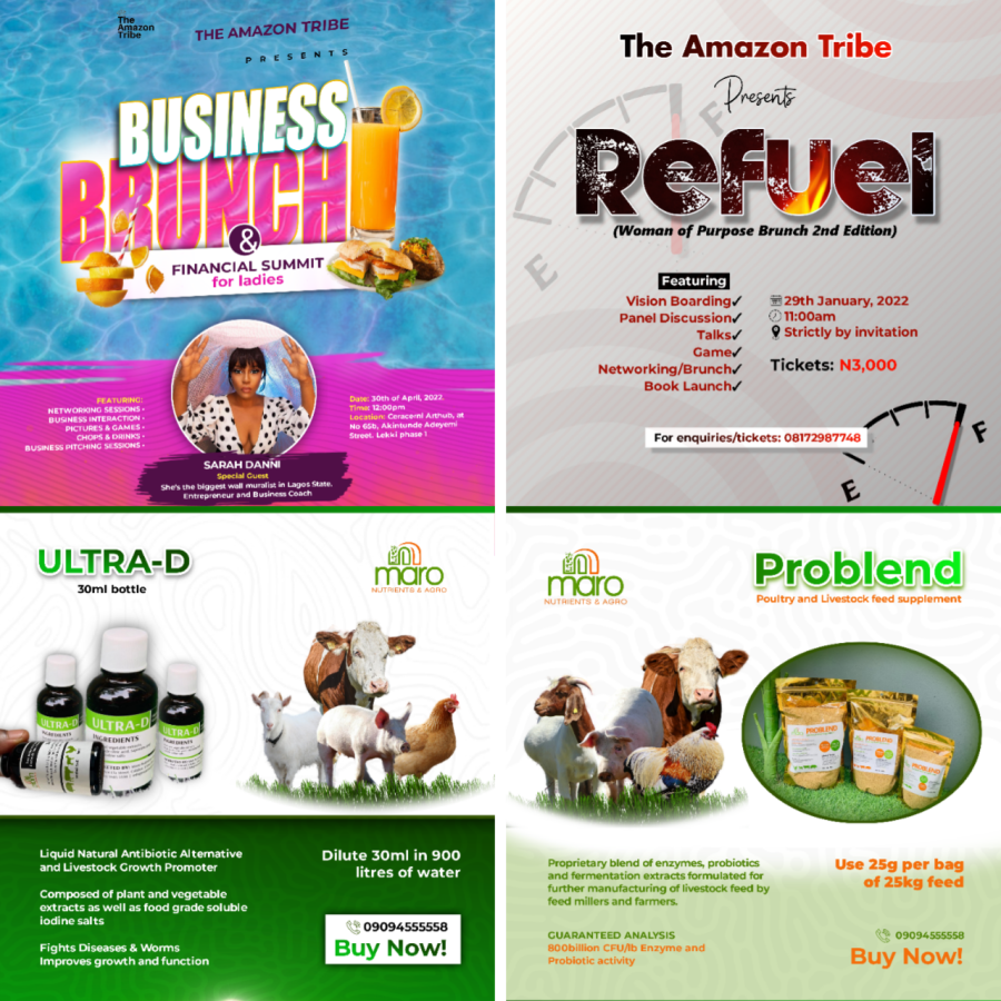 I will design a compelling flyer and unique logo for your business