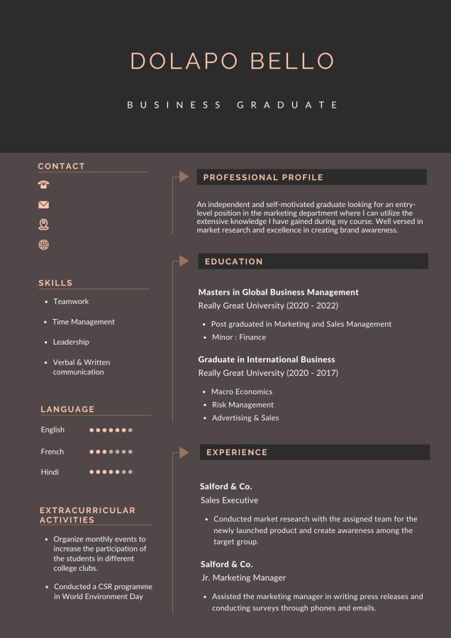 I will do job winning cv, resume, cover letter writing service