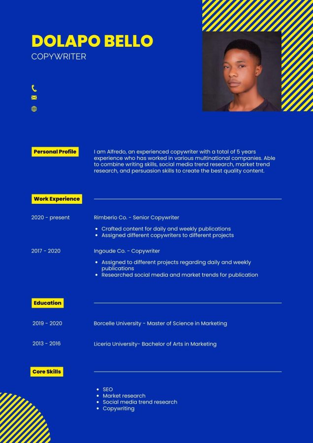 I will do job winning cv, resume, cover letter writing service