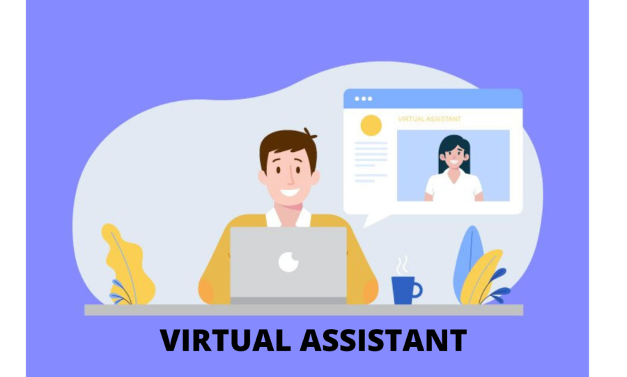I will be your Amazon Virtual Assistant and handle A TO Z seller account.