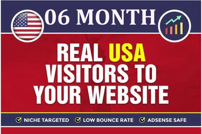 06 Month Organic USA Web Traffic: Daily Real Visitors with Keyword Targeting
