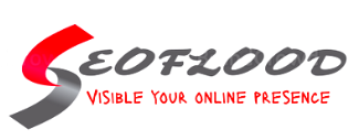  All in one monthly full SEO package