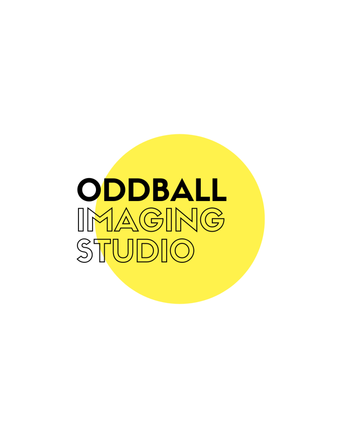 I will design flat and modern minimalist logo designs