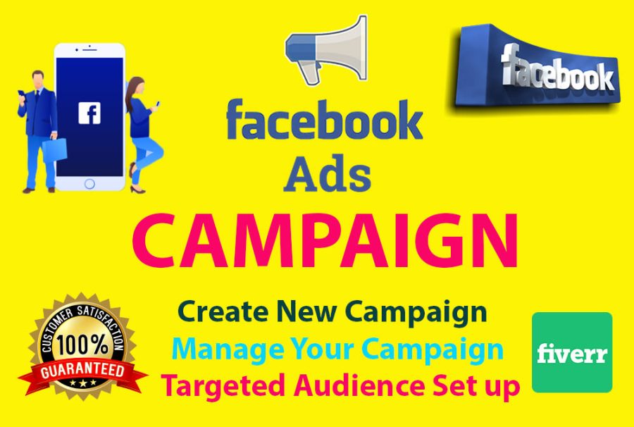 I will do worlds top class Google Search Campaign and also do Facebook and other Social app ads.