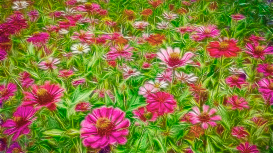 I will design World class 4k pattern design for you.