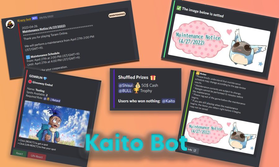 I will create a custom discord bot