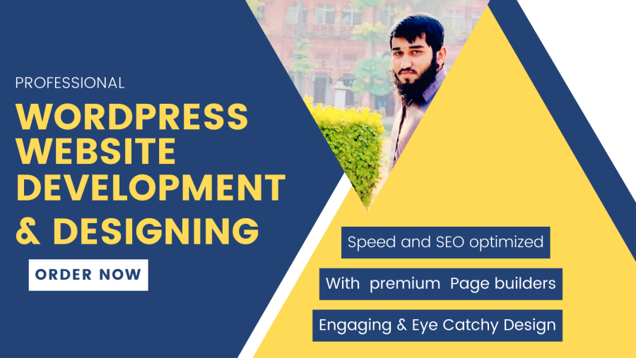 I will develop WordPress website in almost any niche, blogging, business website etc