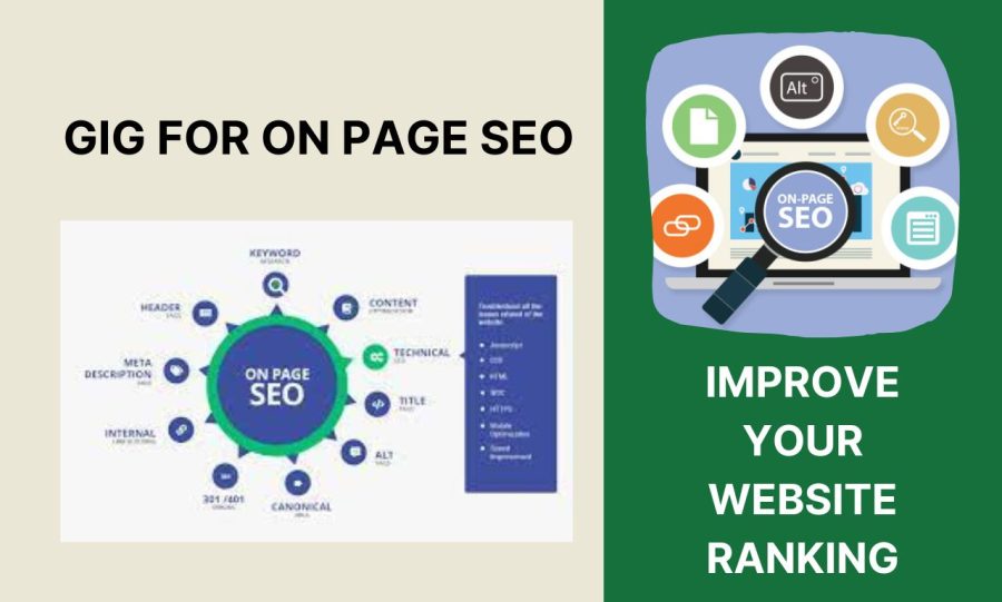 Complete On Page SEO Service for Your Website or Web Page