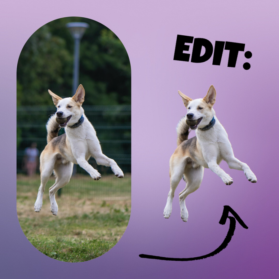 Background Remover, Instant Delivery and Maximum Precision 