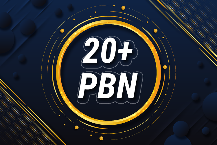 Rank your website 20 Homepage PBN DA 50 to 80 