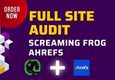Premium Site Audit: Screaming Frog & Ahrefs + Roadmap