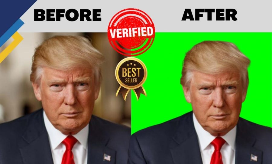 I will design perfect 300 image background removal