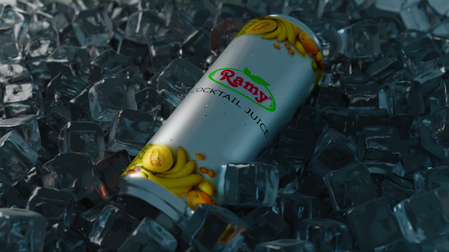 You will get a High Quality Photorealistic 3D rendering of your product or idea