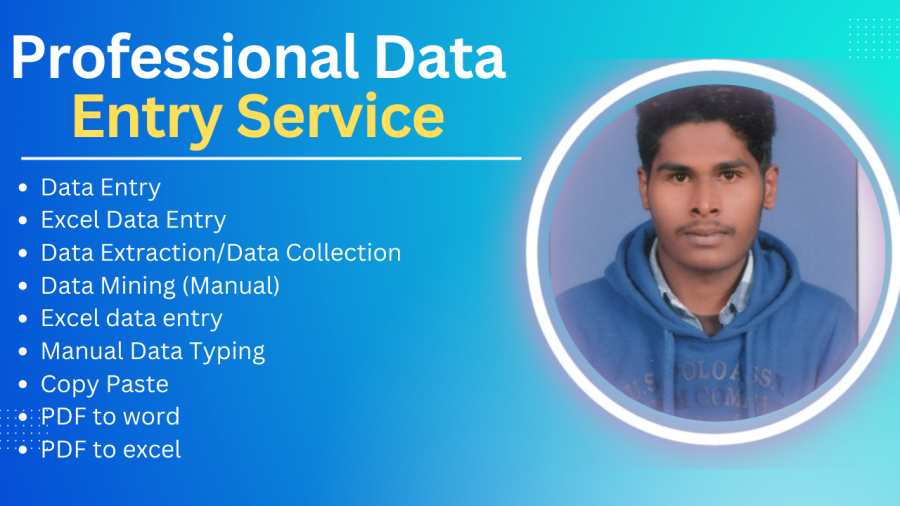 I will do any type of Data entry work Excel Data Entry, Copy Paste, Pdf to Excel and more