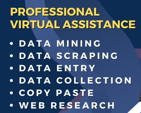 I will do excel data entry for web Research,data cleaning, data mining or find emails address