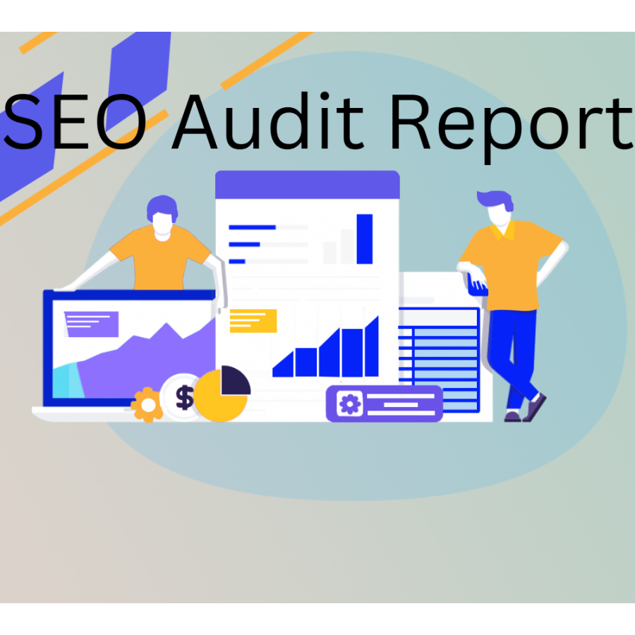 SEO audit video report, competitor website analysis