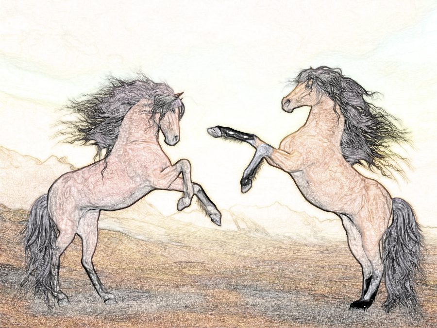 Create colored or non colored pencil art in photoshop