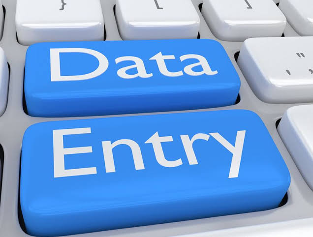 Data entry expert and copy paste work expert 