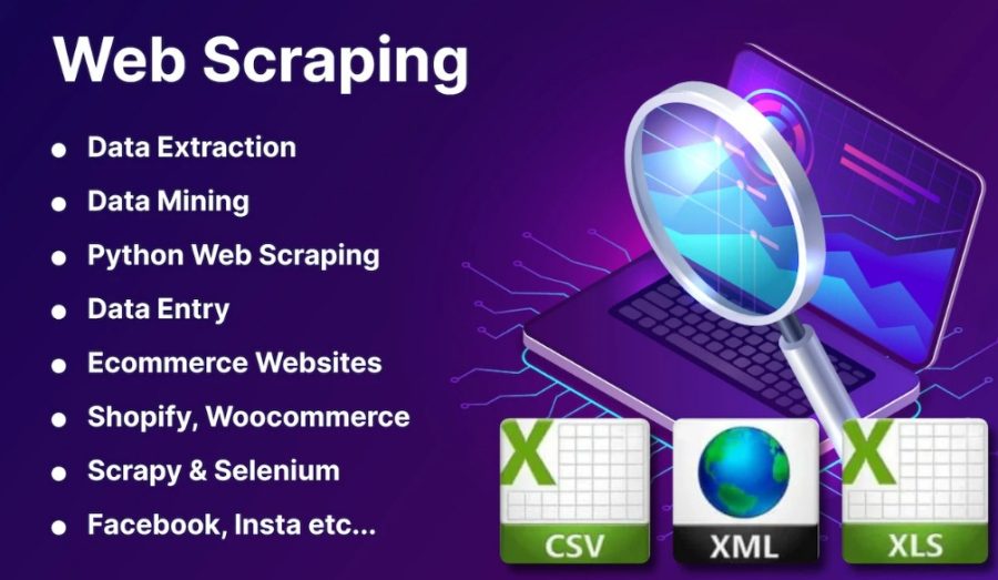 I will scrape data from websites