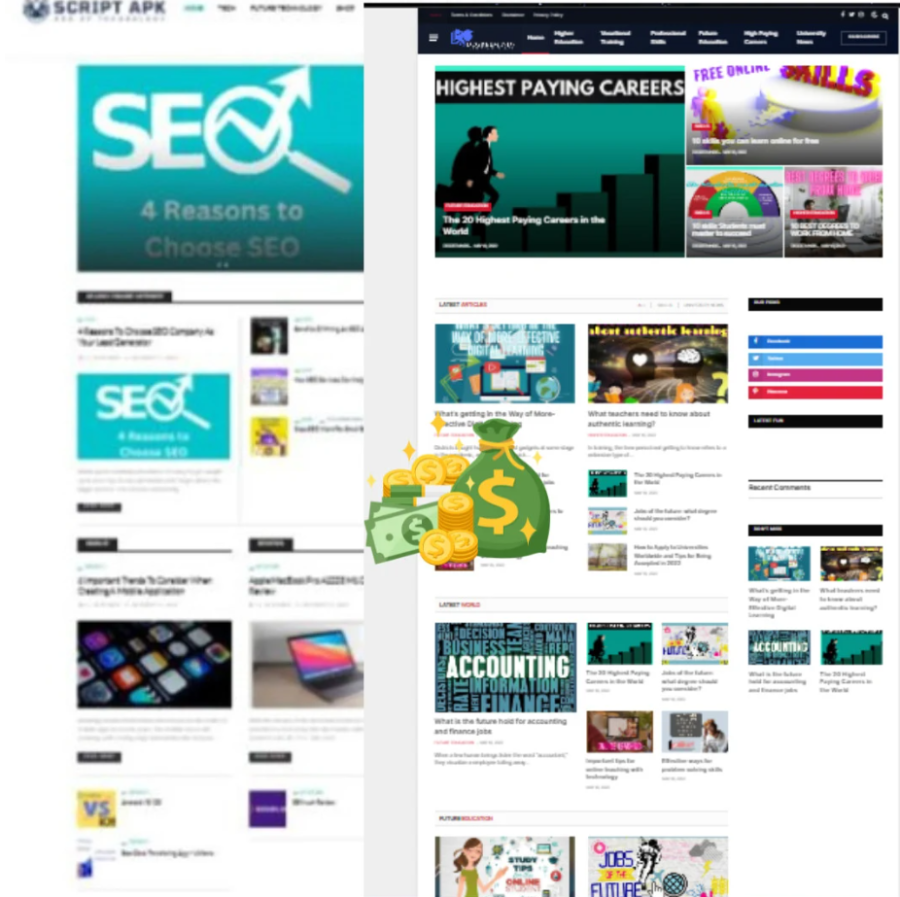 I will create adsterra , propeller ad and a ads approved auto blog website