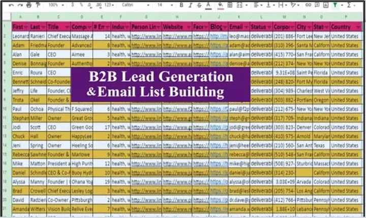I will do LinkedIn b2b lead generation and business owner email collect 100