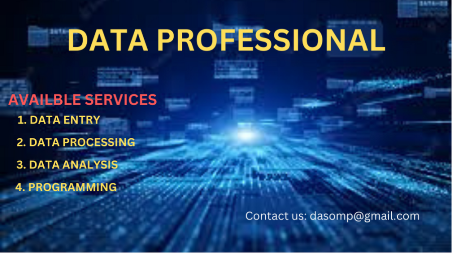 I will provide you data entry, processing and analysis service 
