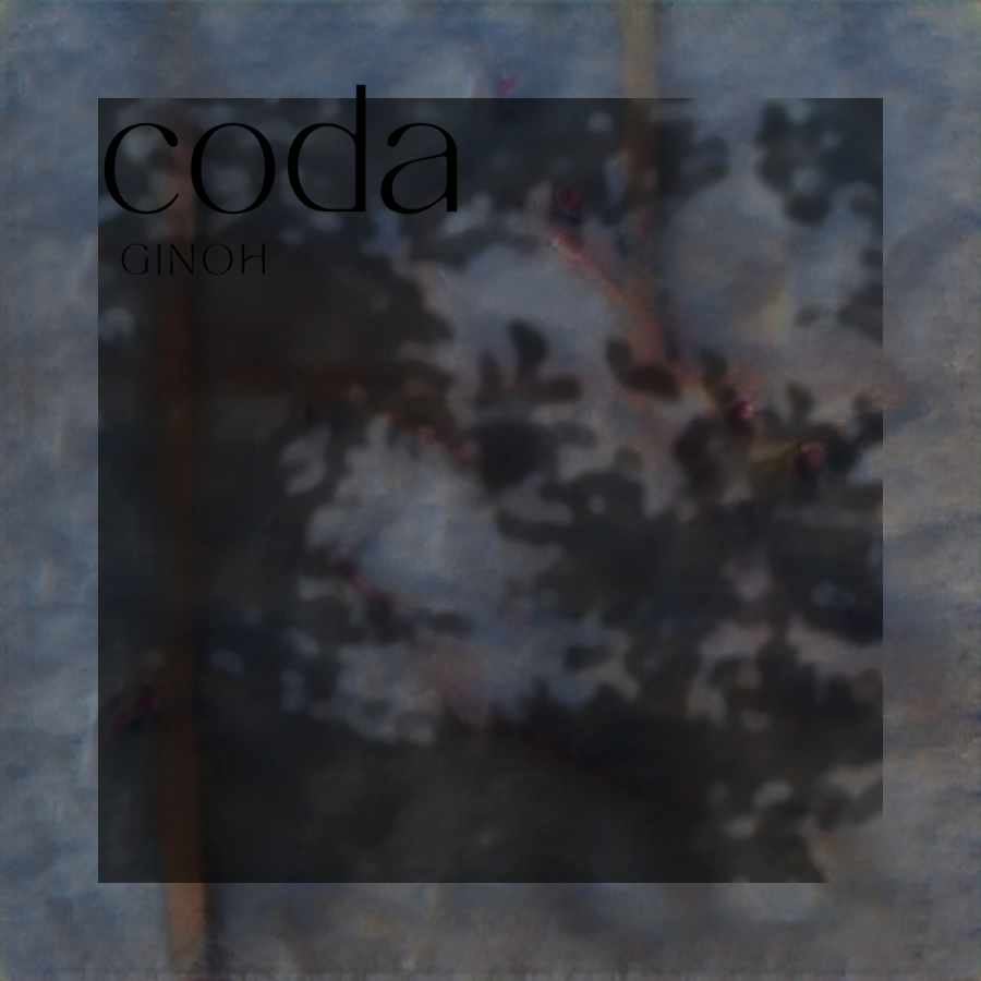I create professional Album Covers for your Art!