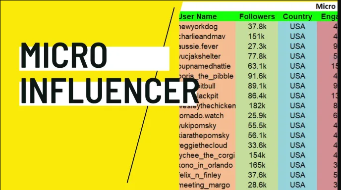 I will find best instagram influencer, top influencer and micro influencer