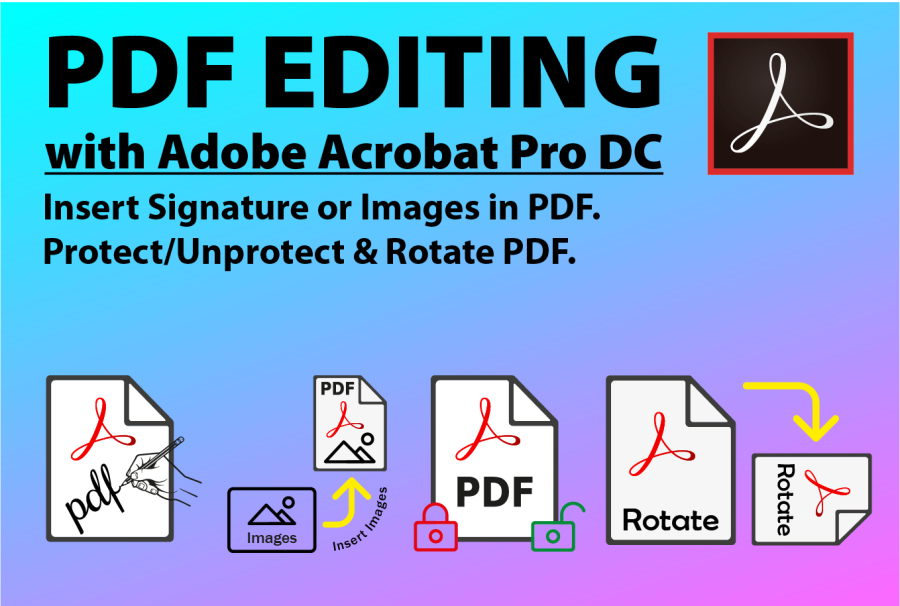 I will Convert PDF to Word or any Media