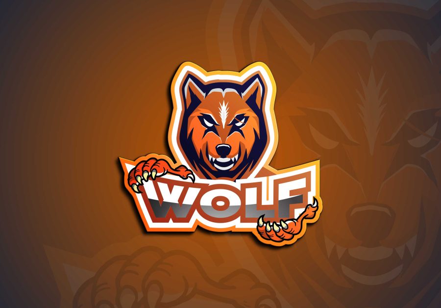 I will create cartoon, character, mascot business logo design