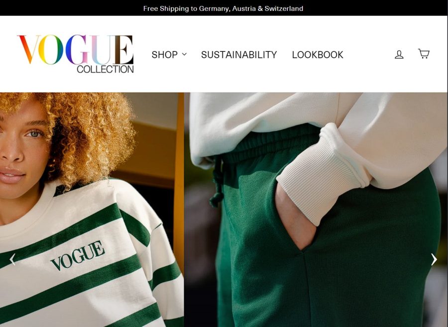 I will build a dropshipping shopify store or shopify website for passive income