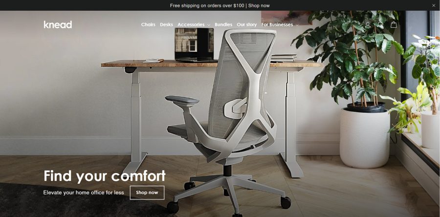 I will build a dropshipping shopify store or shopify website for passive income