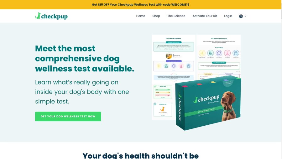 I will create a one product shopify dropshipping store or shopify website