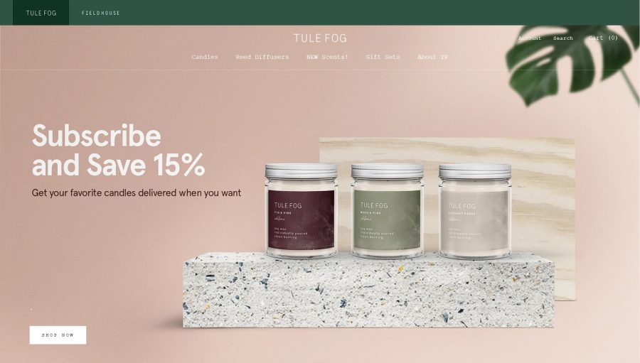 I will create a one product shopify dropshipping store or shopify website