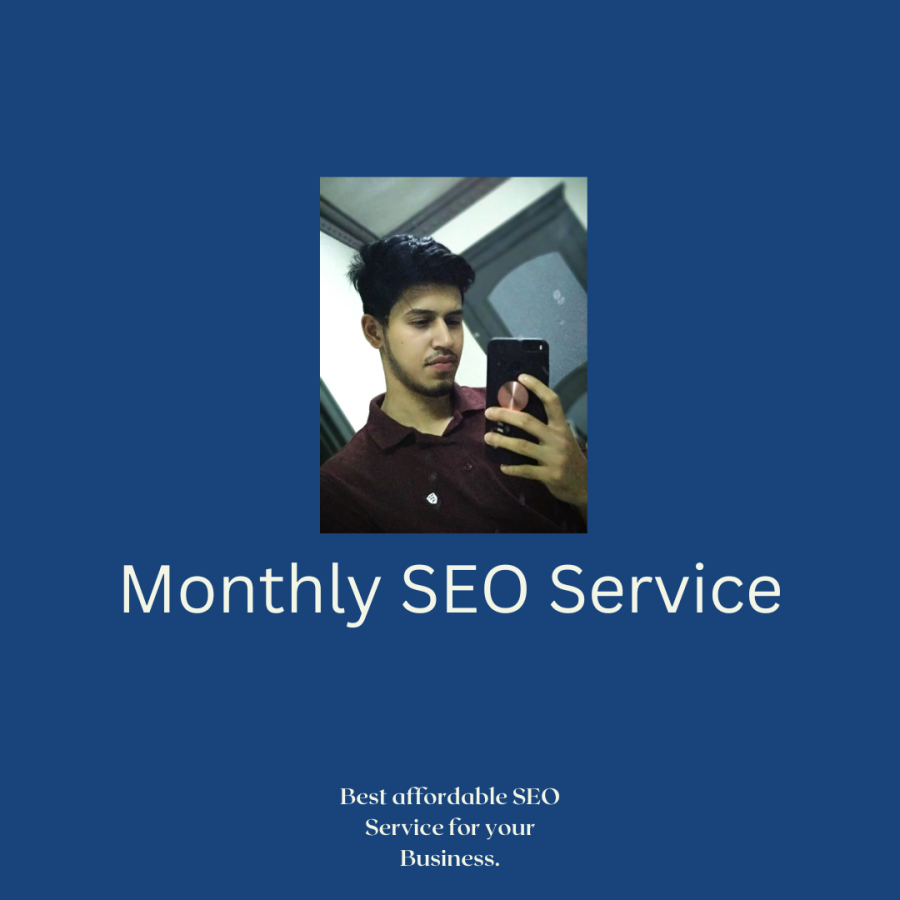 Monthly SEO service with HQ Do Follow Backlinks (100% 1st Ranking granted)