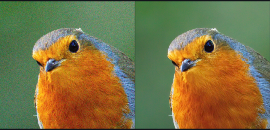 I will remove the noise in your image