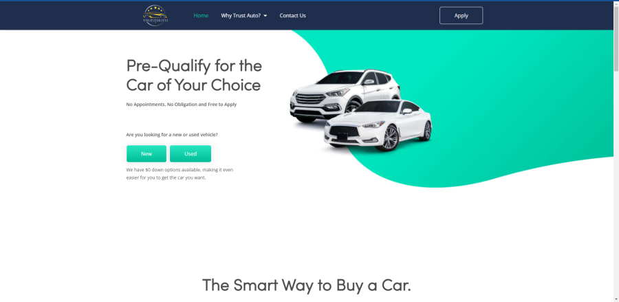 Create, Redesign, Customize WordPress Website