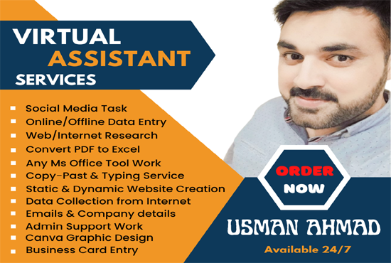 I will be your professional virtual assistant for 12 hours