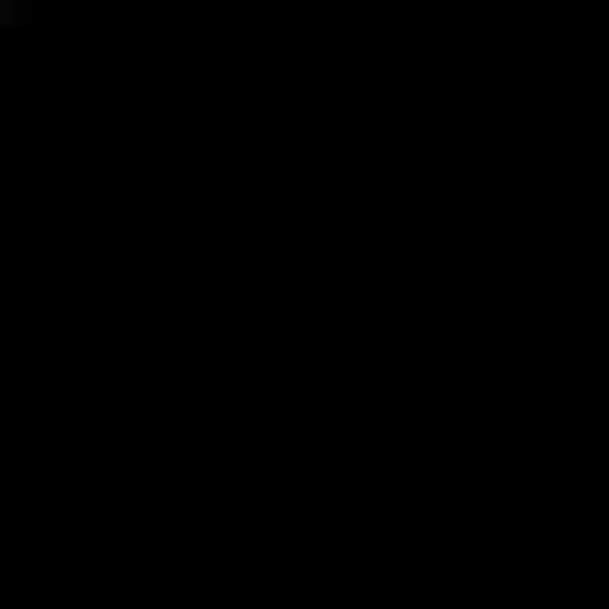 I will be your professional video editor for any types of video