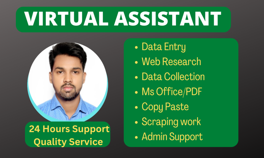 Virtual assistant for data entry web research data collection