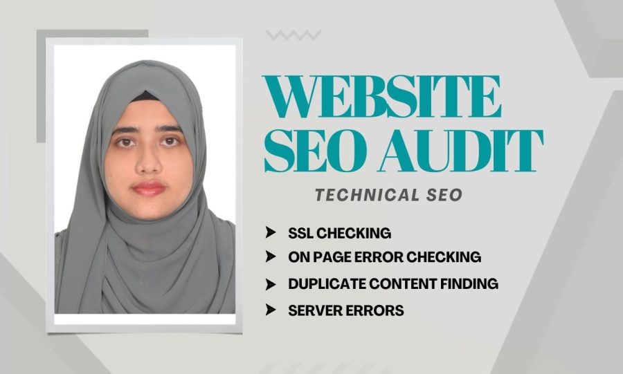 I will provide professional website SEO audit report