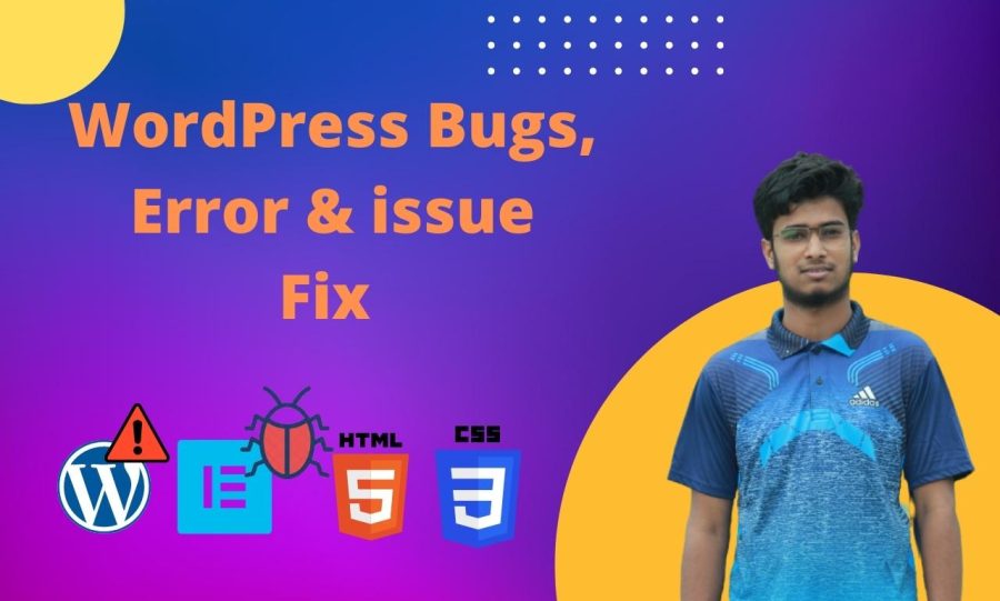 I will fix any kinds of wordPress bugs, issues & errors