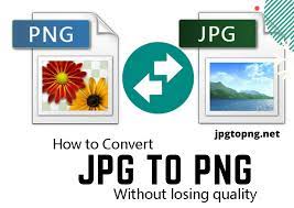 Design Bespoke Logo+Unlimited Revisions+ filesAI,JPG,PNG,PDF,PSD