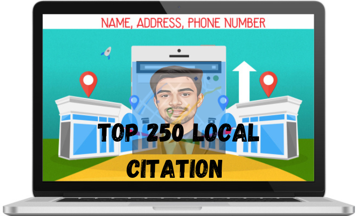 I will do top 100 local citations for any country