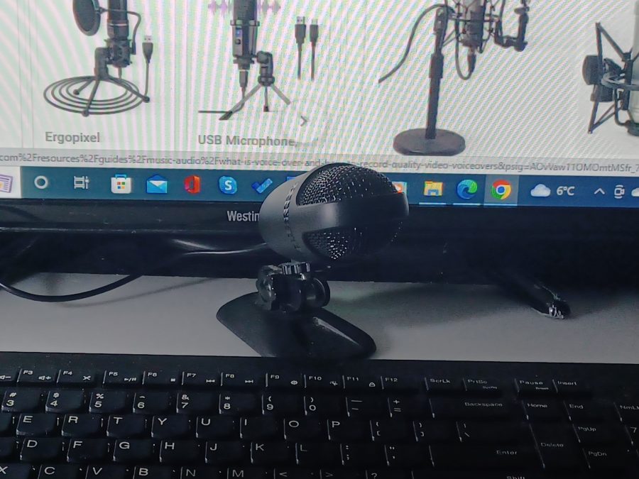 Text to Audio Conversion for Voice Over, Multiple Languages, Multiple Voices
