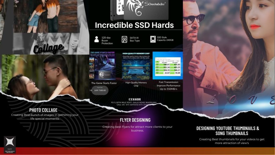 Provide Professional Designing Services