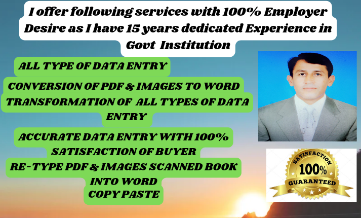I will do Expert Data Entry Services 