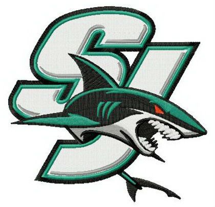 I will do Professional Embroidery Digitizing for High Quality Results