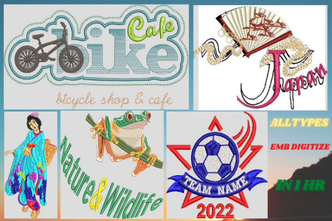 I am a professional wilcom embroidery digitizer